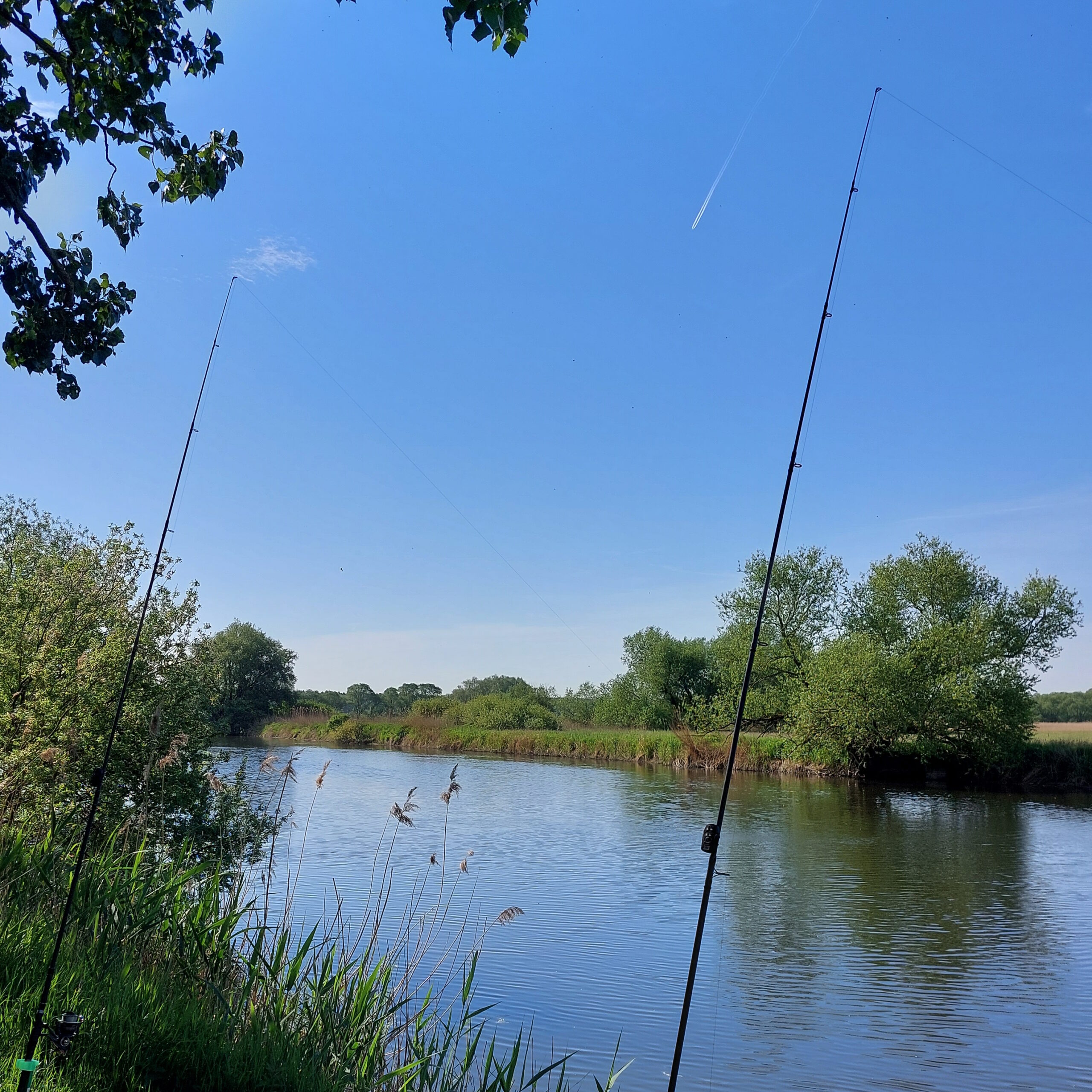 Freshwater Fishing Webseite 100 x 100 cm